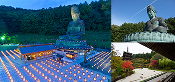 昭和大仏　青龍寺